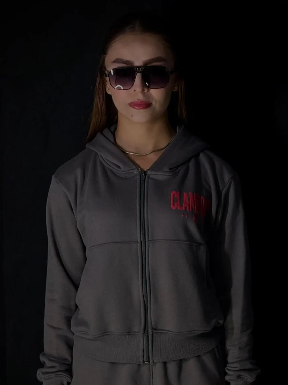 Hoodie Cremallera Gris Premium